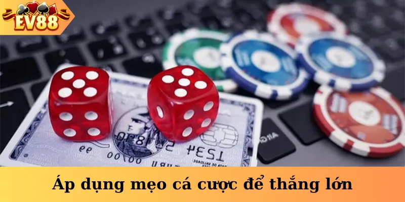 Áp dụng mẹo cá cược để thắng lớn