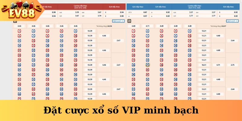 Đặt cược xổ số VIP minh bạch