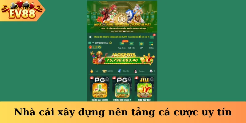 Nhà cái xây dựng nên tảng cá cược uy tín