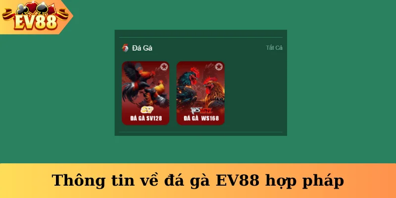 Thông tin về đá gà EV88 hợp pháp